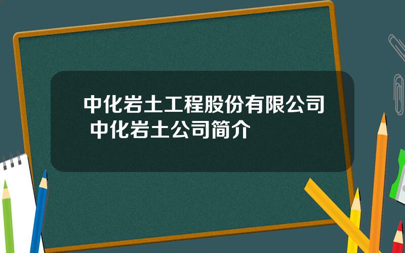 中化岩土工程股份有限公司 中化岩土公司简介